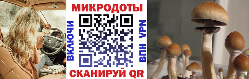 Псилоцибиновые грибы GOLDEN TEACHER  Чердынь 